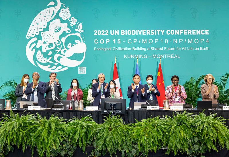 Organizers of COP15 applaud the adoption of an agreement.