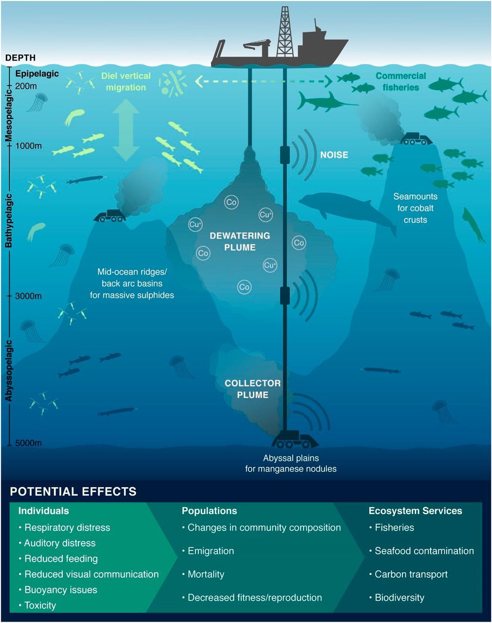 Deep sea mining explained