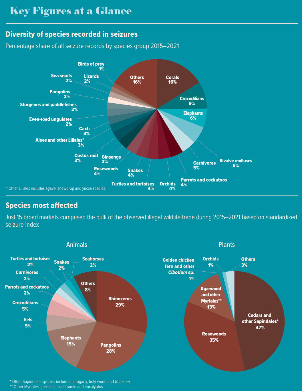 U.N. World Wildlife Crime Report