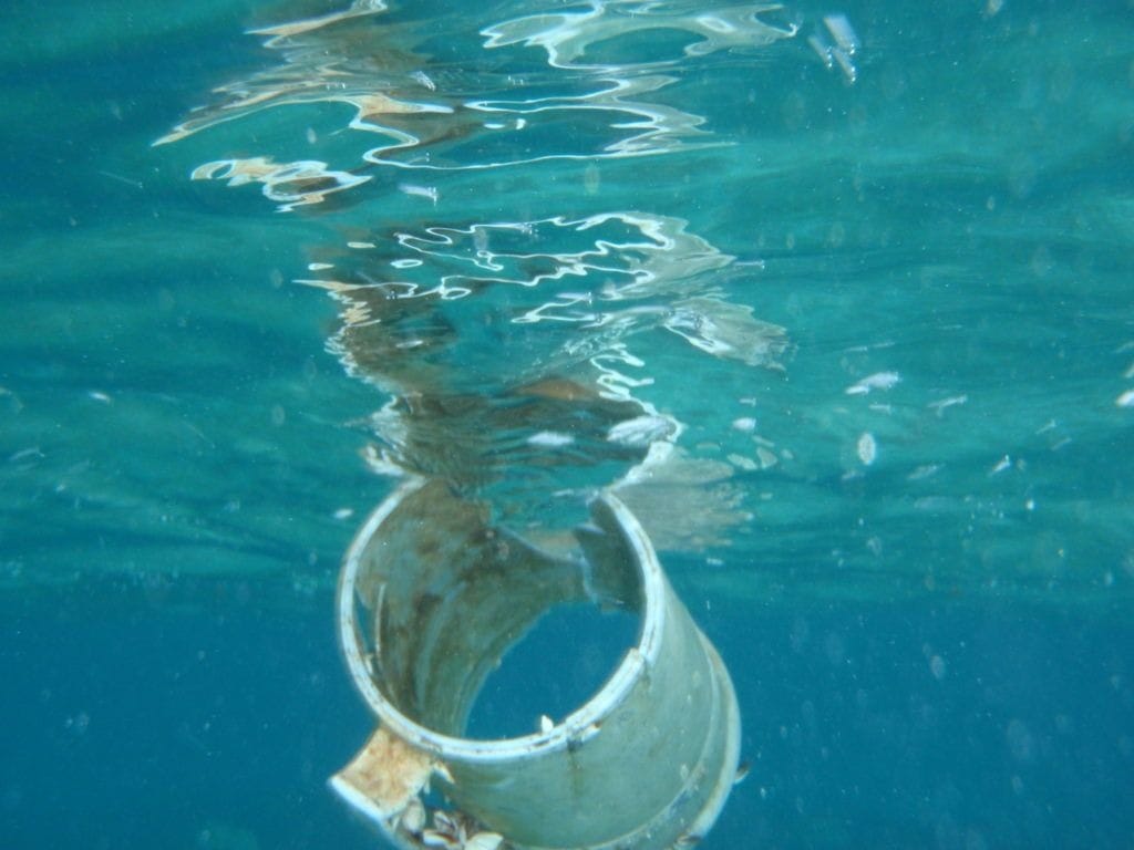 An old plastic mug floats in the Caribbean Sea off the coast of Belize