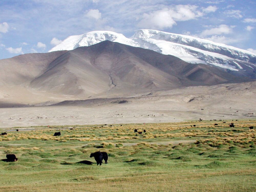 Muztagh Ata and sheep in the Pamir Mountains along the Karakoram Highway in China's Xinjiang Province. 