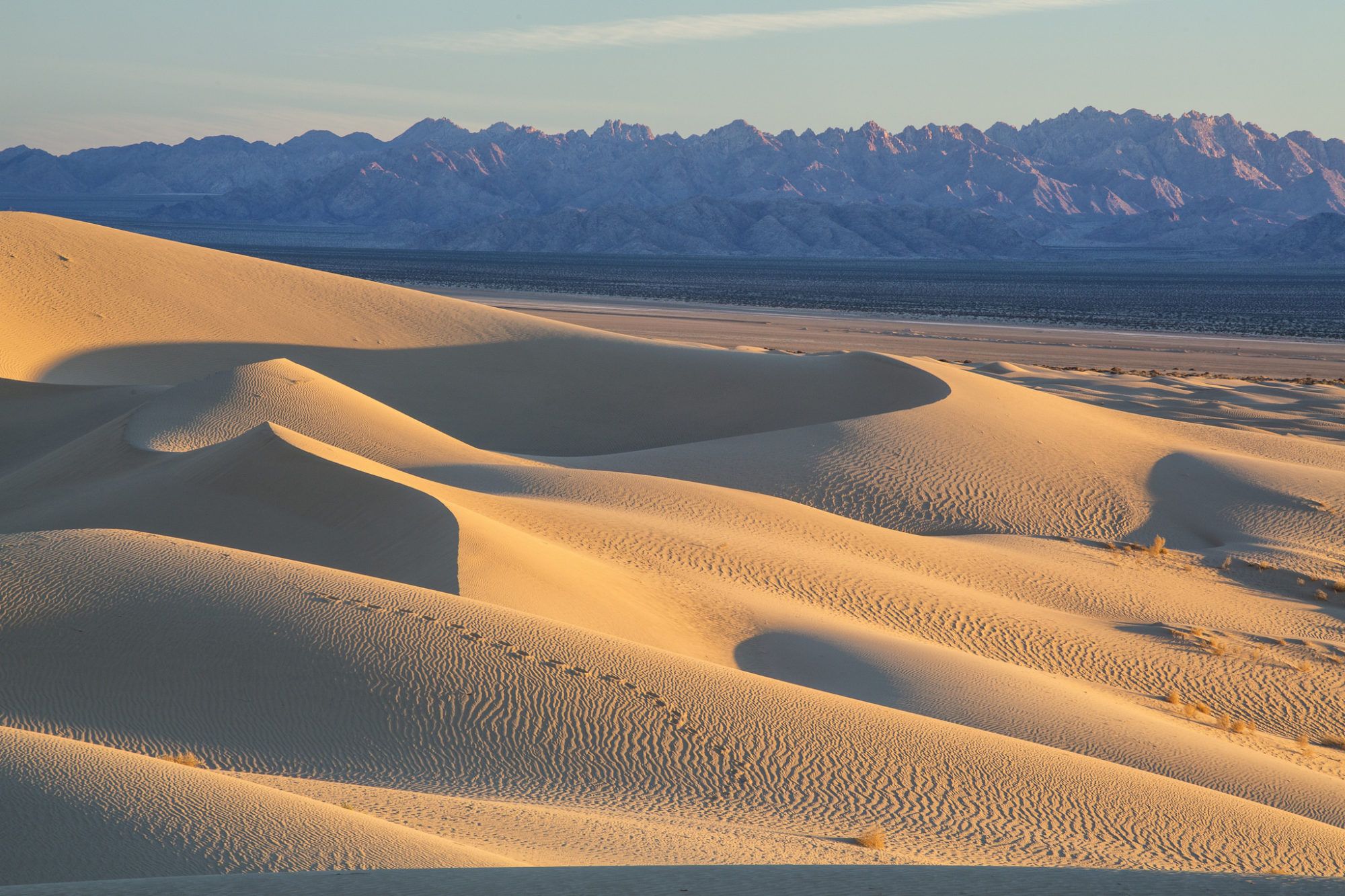 California's Cadiz Dunes Wilderness